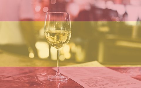 Španělsko; Španělsko hraje ve vinařském světě velmi důležitou roli a se svými 1,2 miliony hektarů je největším vinařským územím v Evropě. V množství produkce jej mírně předčí pouze Francie a Itálie, což je zapříčiněno větším podílem španělských vinic v kategorii DO s regulovanou výnosností.