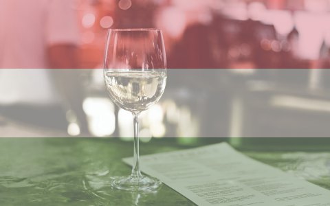 Maďarsko; Rozmanitost maďarských vín je hlavně způsobena 3 různými podnebími, které se tu nacházejí. Je to podnebí středomořské a přímořské v jižní části a kontinentální v severní a střední části Maďarska.